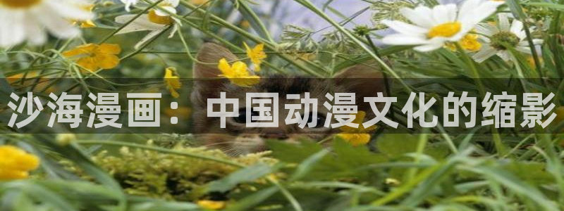 拷贝同人漫画网站：沙海漫画：中国动漫文化的缩影