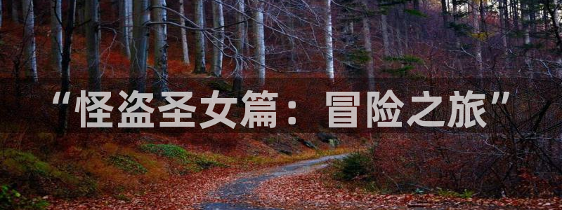 拷贝漫画的加速器：“怪盗圣女篇：冒险之旅”