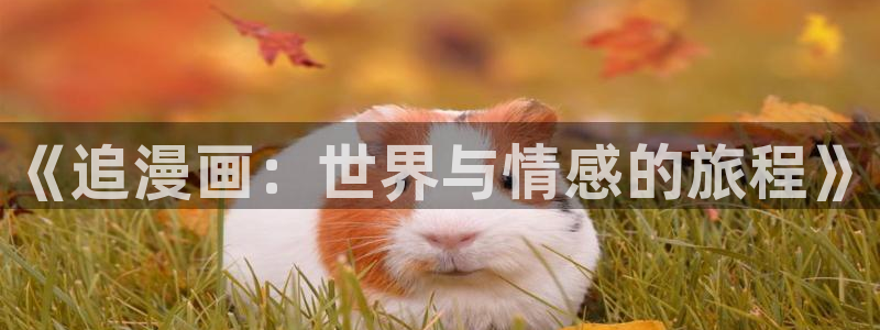 拷贝漫画2.21：《追漫画：世界与情感的旅程》