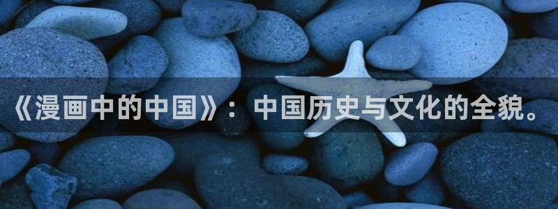 拷贝漫画(拷贝漫画)：《漫画中的中国》：中国历史与文化的全貌。