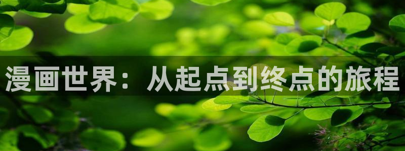 拷贝漫画推荐：漫画世界：从起点到终点的旅程