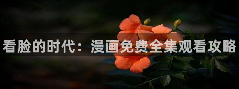 拷贝漫画网页版入口在哪里?：看脸的时代：漫画免费全集观看攻略